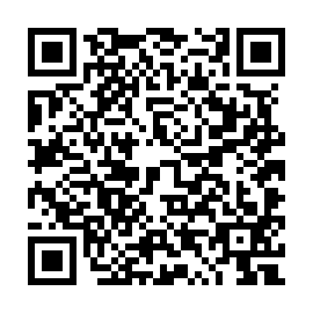 QR code for DT4N934