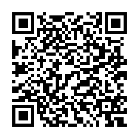 QR code for plate DT8-O141