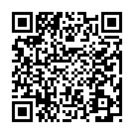 QR code for DU2-A938