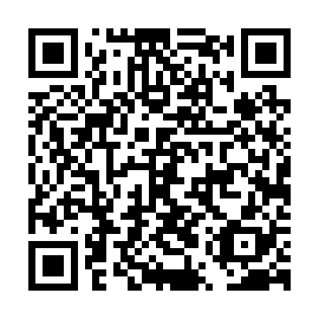 QR code for DUT-228
