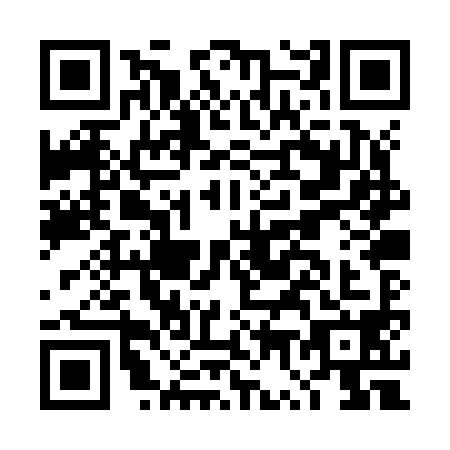 QR code for DW0-Z985