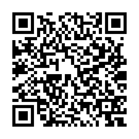QR code for DW2-Q336