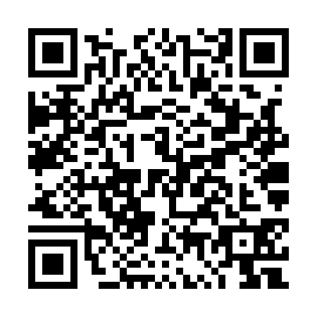QR code for DW6-Q300