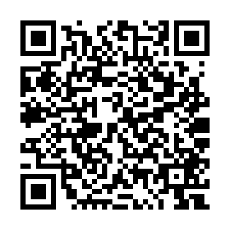 QR code for plate DW6-S491