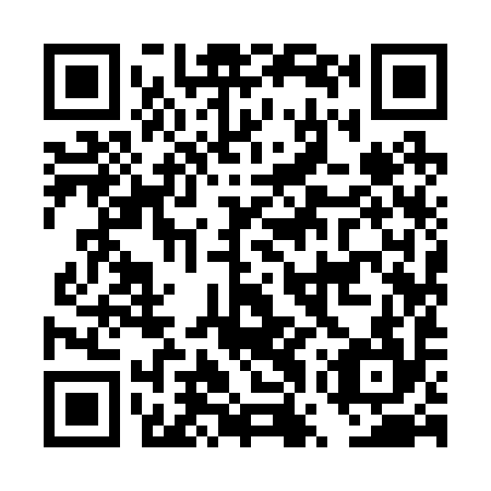 QR code for plate DWY-294