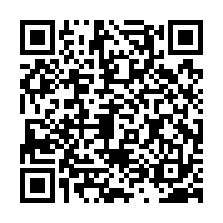 QR code for plate DX0-G334