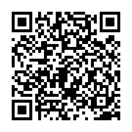 QR code for DX9-T334