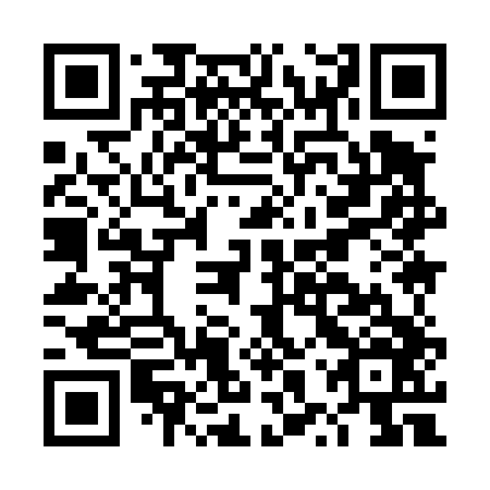 QR code for DXY-446
