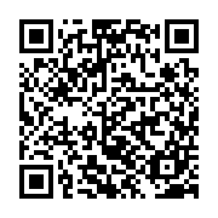 QR code for DYI-307