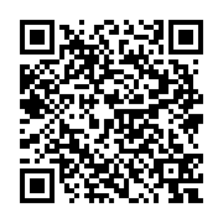 QR code for plate DYI-6339