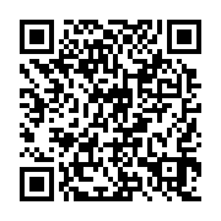 QR code for DYZ-313