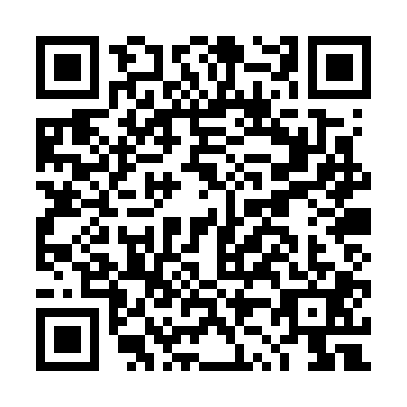 QR code for plate DZ0-W015