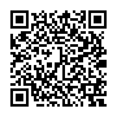 QR code for DZ1Z007