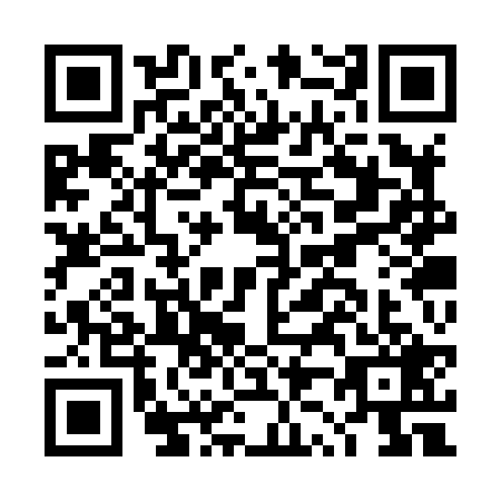 QR code for DZ3-X293
