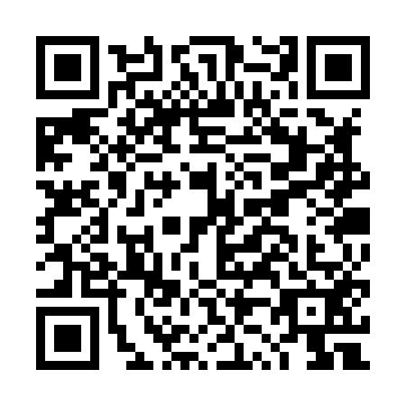 QR code for plate DZ3-X528