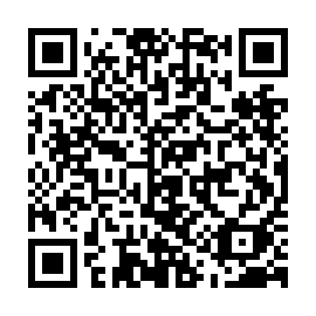 QR code for E11-NAI