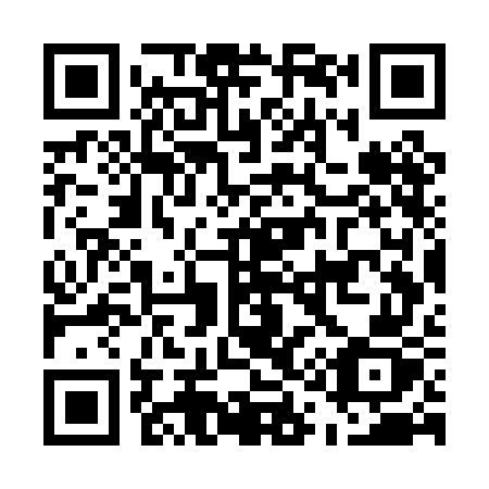 QR code for plate E17-PGZ