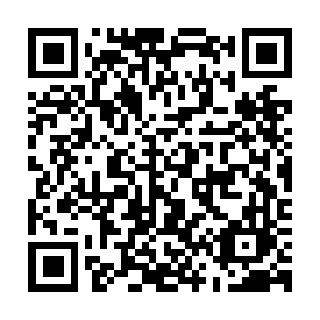 QR code for E63-NFL
