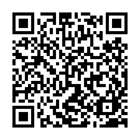 QR code for plate E81-DYC
