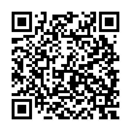 QR code for EAN383