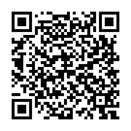 QR code for ERG951