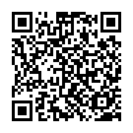 QR code for plate ESN-705