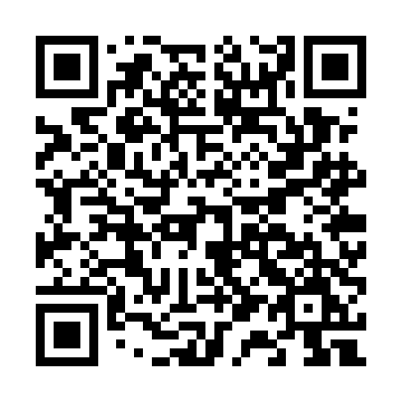 QR code for plate F17-UDM