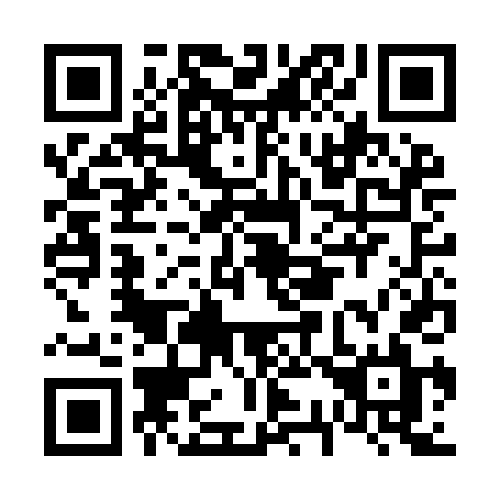 QR code for F33-IDL