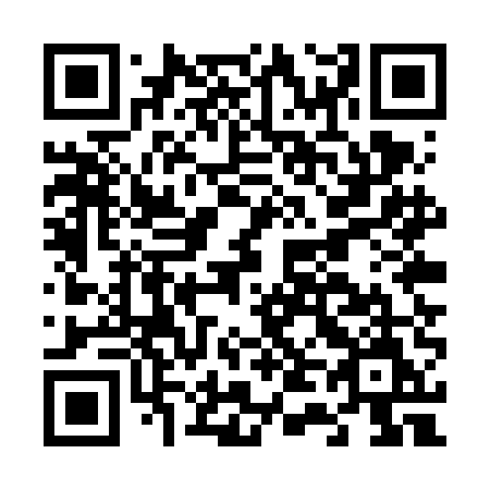 QR code for plate F45-VEM