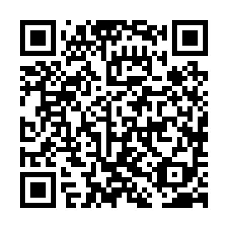 QR code for plate FDX-299