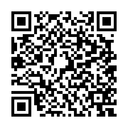 QR code for plate FFR-0563