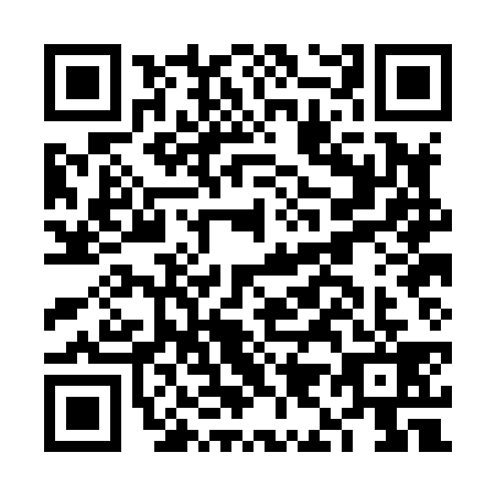 QR code for FI0-H397