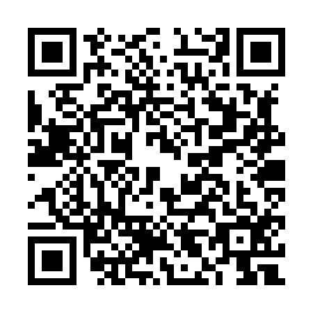 QR code for plate FL2-X161