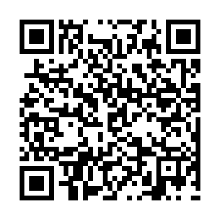 QR code for FLG387