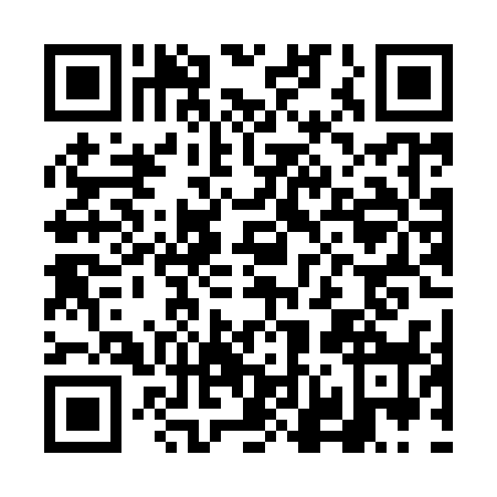 QR code for FN0-Y387