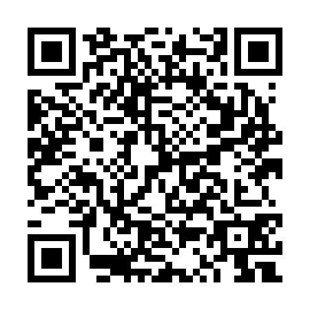 QR code for plate FS9-B705