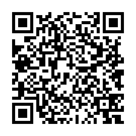 QR code for FSD9399