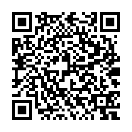 QR code for FT4-V311
