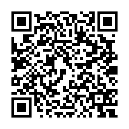 QR code for plate FV0-P363