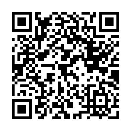 QR code for plate FV1-S959