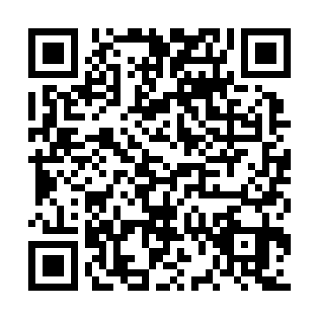 QR code for plate FV1-Z310