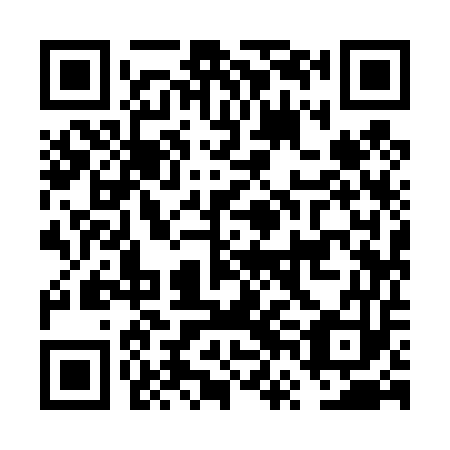 QR code for plate FVI-453