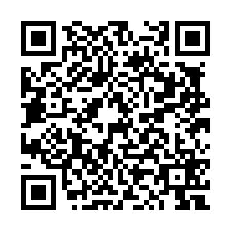 QR code for FZ1-L696