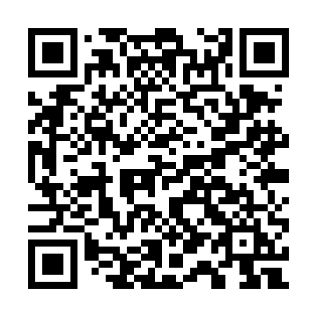 QR code for G11-TEI