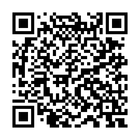 QR code for plate G13-DMY