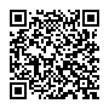 QR code for G20-INH