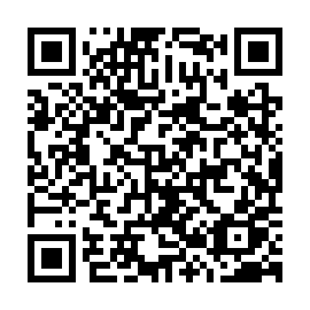 QR code for G28SPP