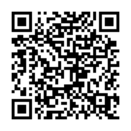 QR code for plate G29-SKC