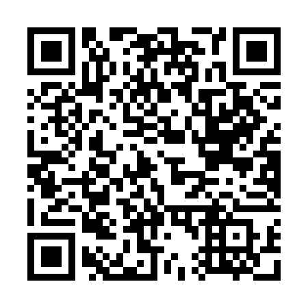 QR code for G41CFS