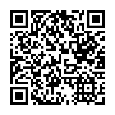 QR code for G46-ICO